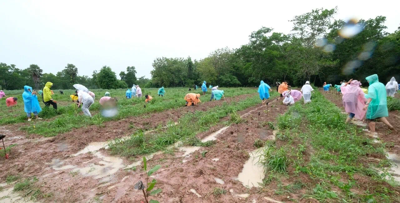 BoThong(2)